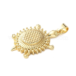 Brass Pendants&nbsp;KK-A252-16G