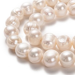 Natural Cultured Freshwater Pearl Beads Strands&nbsp;PEAR-L033-91