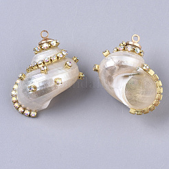 Natural Conch Shell Pendants&nbsp;SSHEL-T014-04