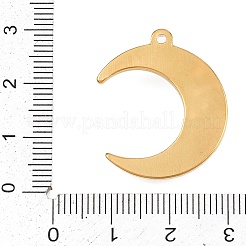 304 Stainless Steel Pendants&nbsp;X-STAS-P430-06G
