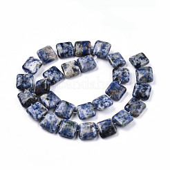 Natural Blue Spot Jasper Beads Strands&nbsp;G-N326-140G