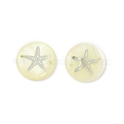 Natural Freshwater Shell Connector Charms&nbsp;SHEL-XCP0001-05