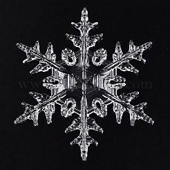 Transparent Acrylic Connector Charms&nbsp;TACR-T028-06A