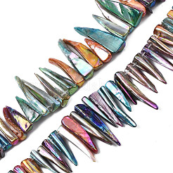 Electroplated Natural Freshwater Shell Beads&nbsp;SHEL-N026-197A