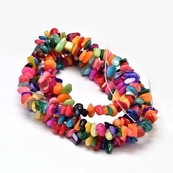 Natural Chip Dyed Shell Bead Strands&nbsp;G-L454-10
