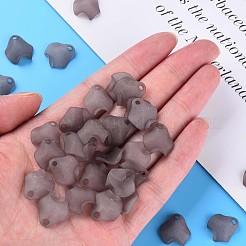 Transparent Acrylic Beads&nbsp;MACR-S373-106-D02