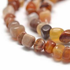 Natural Petrified Wood Beads Strands&nbsp;G-F465-20A