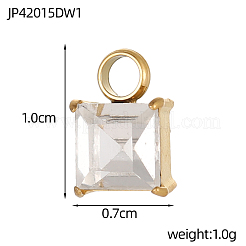 304 Stainless Steel Rhinestone Charms&nbsp;STAS-OY003-88G