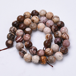 Natural Zebra Jasper Beads Strands&nbsp;G-S281-06-8mm