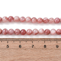 Natural Sea Shell Beads Strands&nbsp;SHEL-K006-74