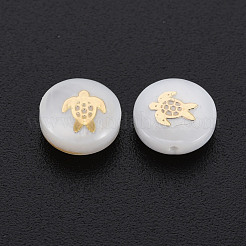 Natural Freshwater Shell Beads&nbsp;SHEL-S278-061