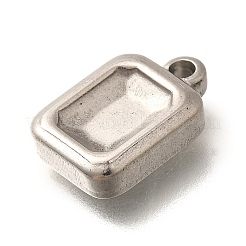 304 Stainless Steel Charms&nbsp;STAS-P381-11P