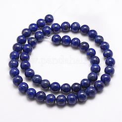 Natural Dyed Lapis Lazuli Bead Strands&nbsp;G-G953-04-10mm