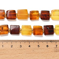 Natural Amber Beads Strands&nbsp;G-C260-A01-02