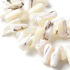 Dyed Natural Trochus Shell Beads Strands&nbsp;SSHEL-C013-09J