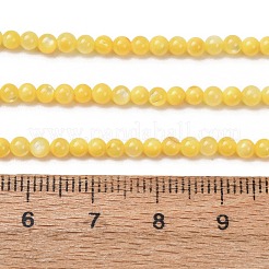 Dyed Natural Freshwater Shell Beads Strands&nbsp;SH-CBA2978-07C-01