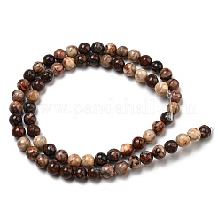 Natural Gemstone Beads Strands&nbsp;G-R494-A22-02