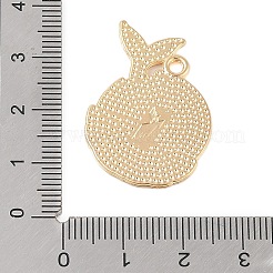 Rack Plating Alloy Pendants&nbsp;FIND-C059-02G-02