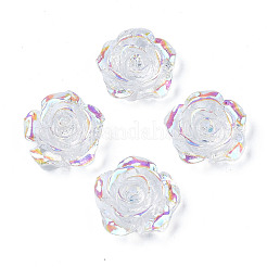 Transparent Resin Cabochons&nbsp;CRES-N030-001B