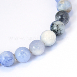 Natural Sodalite Round Bead Strands&nbsp;X-G-E334-6mm-08