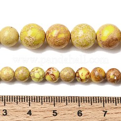 Natural Imperial Jasper Graduated Beads Strands&nbsp;G-A323-C03-01D