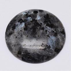 Natural Labradorite Pendants&nbsp;G-G647-46