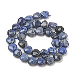 Natural Dumortierite Beads Strands&nbsp;G-H005-C15-02