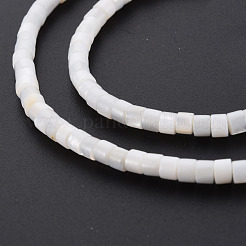 Natural Freshwater Shell Beads Strands&nbsp;SHEL-N027-09