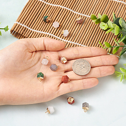 12Pcs 6 Style Natural Gemstone Charms&nbsp;G-FW0001-24