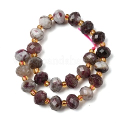 Natural Plum Blossom Tourmaline Beads Strands&nbsp;G-D105-B01