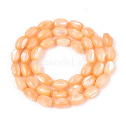 Natural Trochus Shell Beads Strands&nbsp;SHEL-K006-19-01G