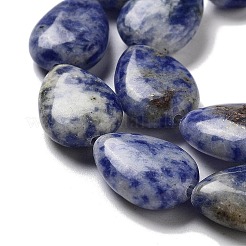 Natural Blue Spot Jasper Beads Strands&nbsp;G-P528-L17-01