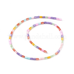 Natural Freshwater Shell Dyed Beads Strands&nbsp;SHEL-M018-12-13