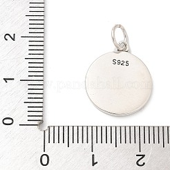 925 Sterling Silver Pendants&nbsp;STER-R008-04AS-05