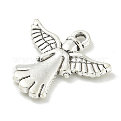 Tibetan Style Alloy Pendants&nbsp;TIBE-I026-5991AS