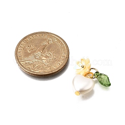 ABS Plastic Imitation Pearl Charms&nbsp;PALLOY-JF04029