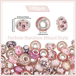 100Pcs Printed Transparent Resin European Beads&nbsp;RESI-PA0001-18B