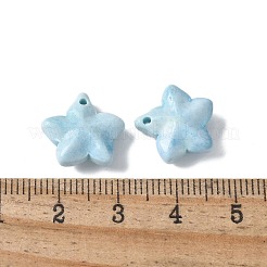 Natural Rainbow Alashan Agate Charms&nbsp;G-G194-02F