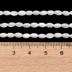 Natural Freshwater Shell Beads Strands&nbsp;SHEL-C010-03B