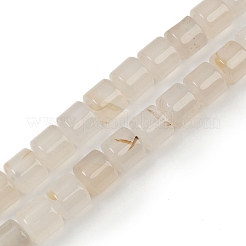 Natural Agate Beads Strands&nbsp;G-G275-D24-10x10mm