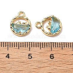 Brass Micro Pave Cubic Zirconia Charms&nbsp;KK-A259-27G-02