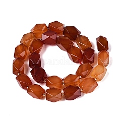 Dyed Natural Red Agate Beads Strands&nbsp;G-Q608-11C
