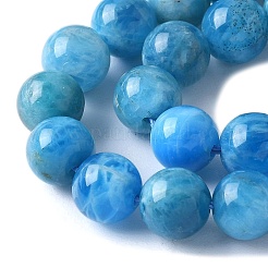 Natural Apatite Beads Strands&nbsp;G-I254-08H