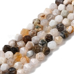 Natural Bamboo Leaf Agate Beads Strands&nbsp;G-Z119-A27-01