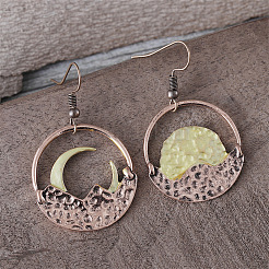Zinc Alloy Dangle Earrings&nbsp;FS-WG79C84-01