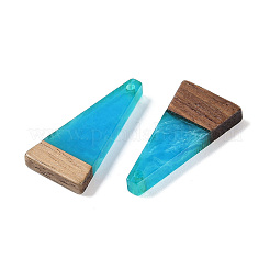 Resin & Wood Pendants&nbsp;WOOD-F015-03D