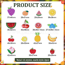 30Pcs 15 Styles Fruits Computerized Embroidery Cloth Iron on/Sew on Patches&nbsp;PATC-PH0001-67