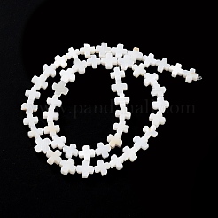 Natural Freshwater Shell Beads Strands&nbsp;X-SSHEL-B002-11