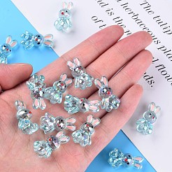 Transparent Acrylic Beads&nbsp;MACR-S373-81-Q03