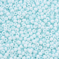 8/0 Opaque Glass Seed Beads&nbsp;X1-SEED-S048-N-015